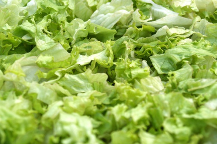 Usar una centrifugadora para ensalada mantiene la lechuga crujiente.