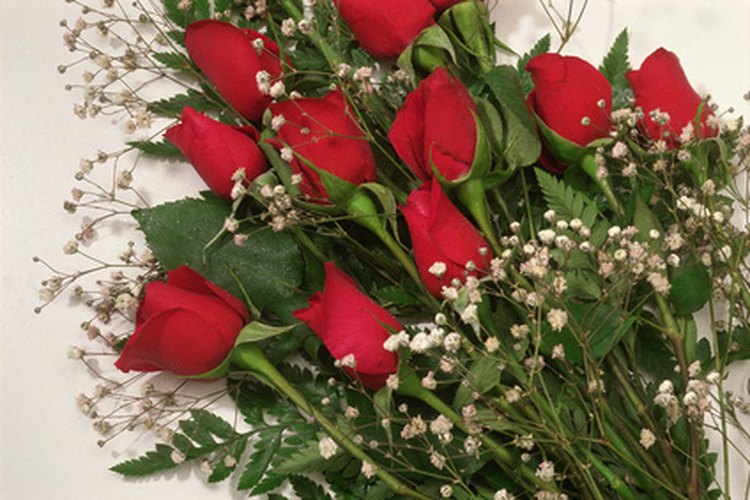Una docena de rosas es un obsequio sorpresa clásico para un aniversario.