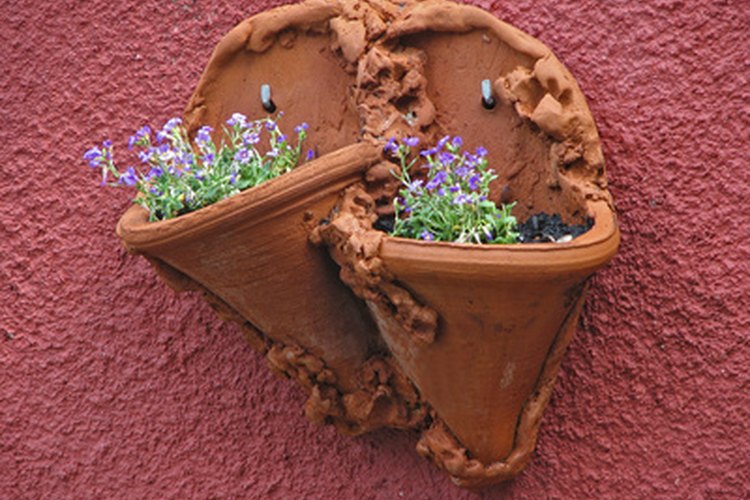 Es un gozo sembrar semillas o plantas pequeñas y saber que estás creando algo hermoso para tu casa.