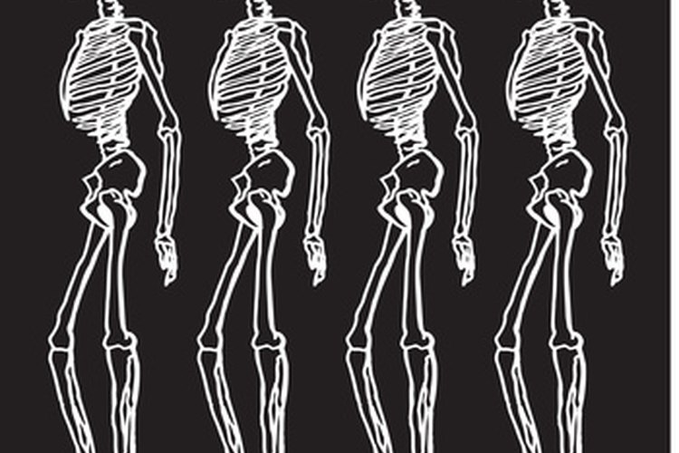 El alineamiento espinal del humano es óptimo para el movimiento bípedo.