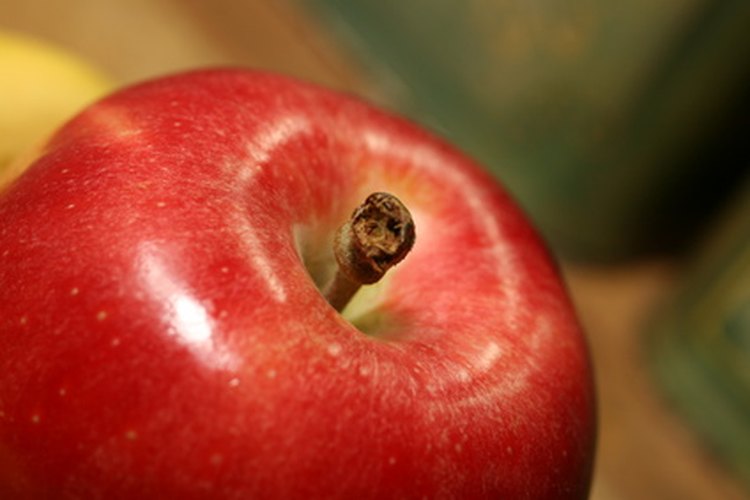 Los árboles de manzana necesitan un clima templado y seco para prosperar.