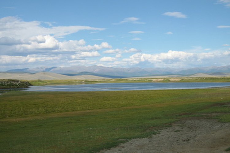 Las praderas de Mongolia se encuentran en el tipo de clima de la zona templada de la estepa de latitudes medias.