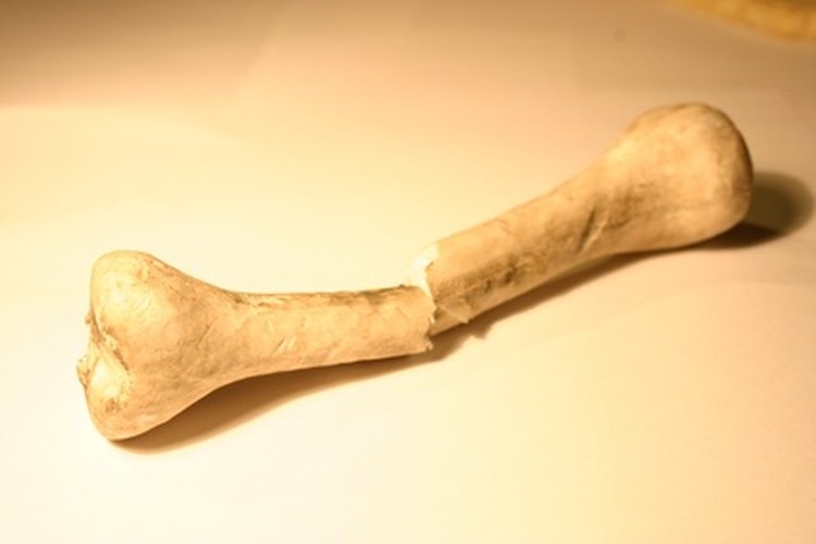 Las muestras de ADN también pueden ser utilizadas para identificación de restos humanos.