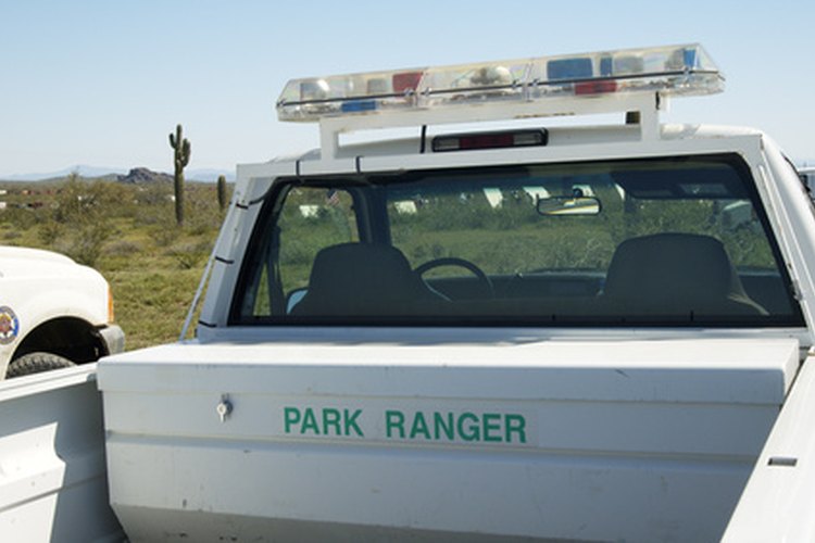 Es ilegal cazar a la mariposa azul karner sin un permiso emitido por el U.S. Fish and Wildlife Service.