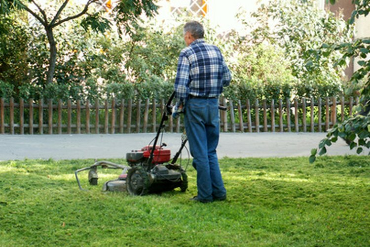 Craftsman construye una variedad de podadoras de conducción y de pie para cualquier tamaño de jardín.