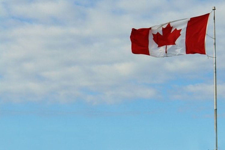 La bandera de Canadá cuenta con un bosquejo aproximado de la hoja de arce.
