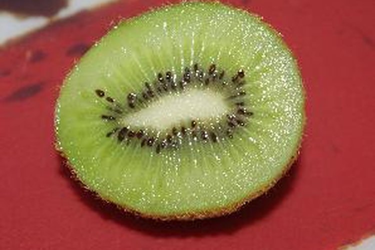 Como la mayoría de las frutas, la mayor parte de las calorías del kiwi provienen de carbohidratos.