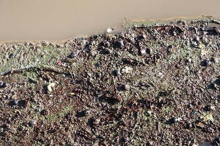 Agua contaminada.