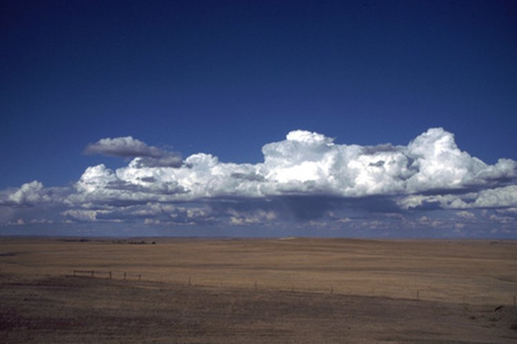 Los cheyennes viveron en las Grandes Llanuras.