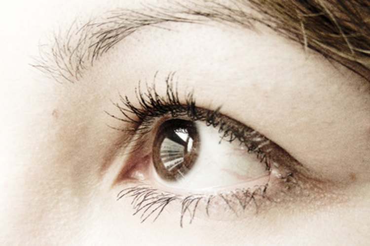 La base para el maquillaje de los ojos comienza determinando las formas de los mismos.