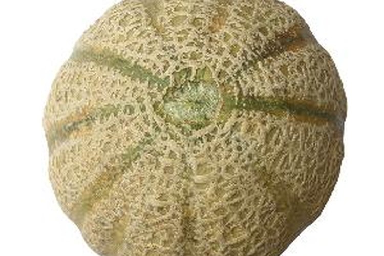 Los melones son también conocidos como cantalupos.