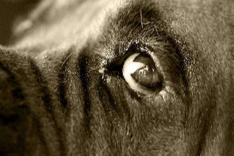 "Esa" mirada.