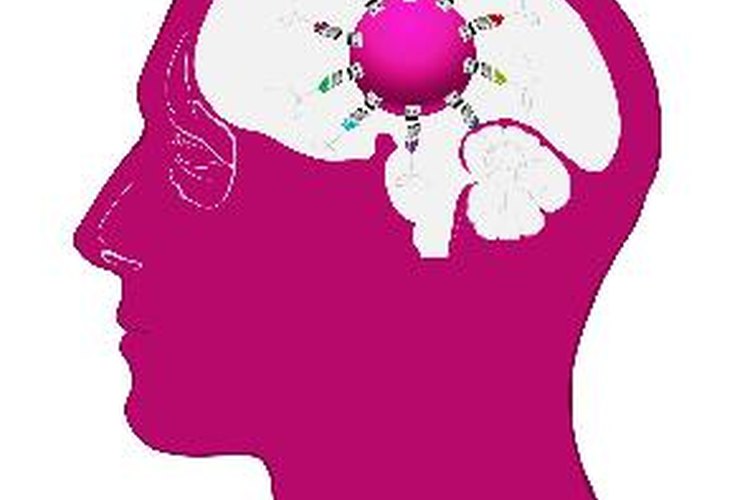 El funcionamiento interno del cerebro está altamente influenciado por los alrededores.