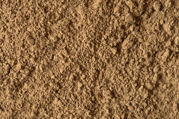 Las calorías y grasas provienen de las cosas que le agregas al cacao en polvo.