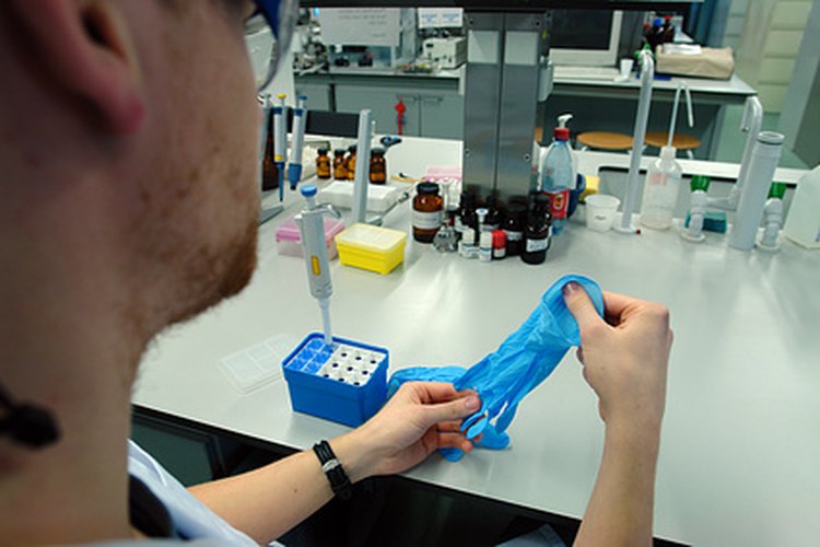 Los técnicos de laboratorio utilizan conocimientos de biología en su trabajo.