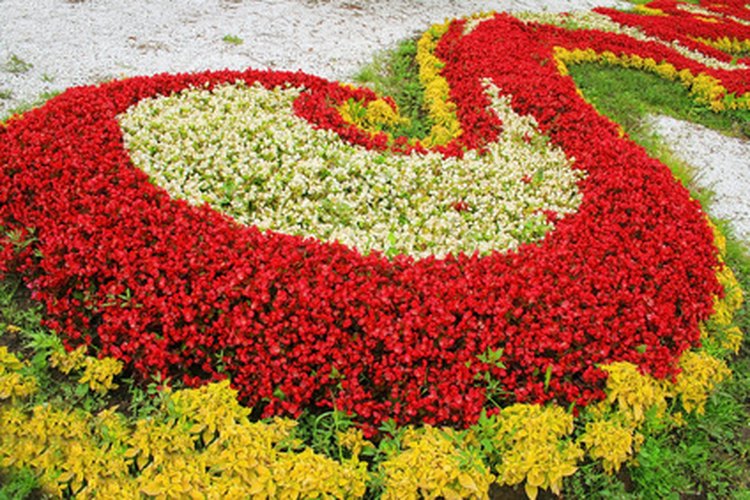 Los canteros de flores elevados pueden contener muchas flores.