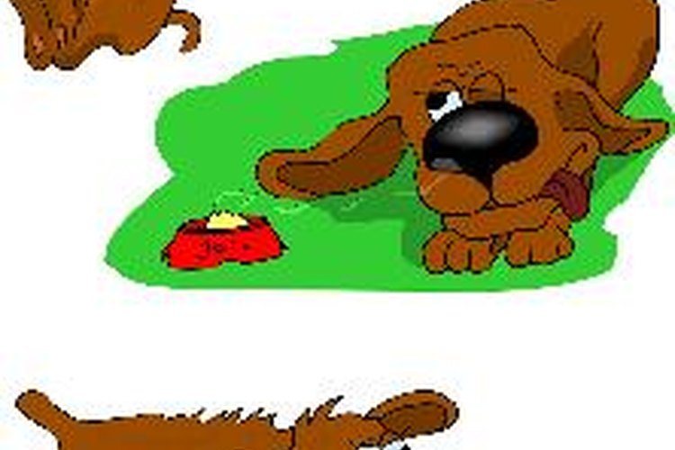En algunos casos, incluso podría ser perjudicial para los ojos de tu perro, por lo que opta por una alternativa más segura.