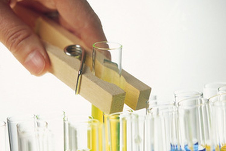 Algunas personas con un título en biología pueden elegir trabajar en investigación.