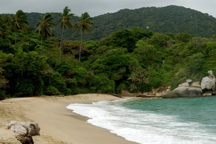 La cumbia nació en la costa norteña de Colombia, donde fueron traídos los esclavos de la religión Yoruba para trabajar en plantaciones.
