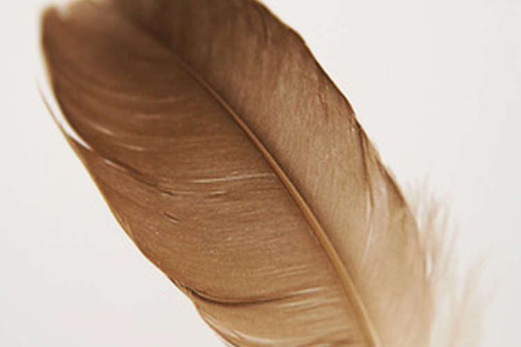 Puedes hacer una pluma de la época colonial con materiales sencillos.
