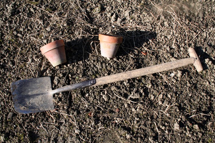 Compost.