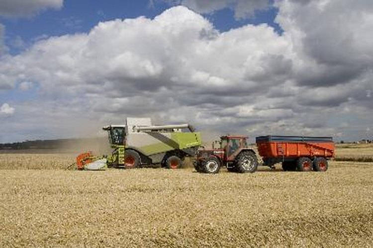 Hay varios tipos diferentes de productos químicos para el control de plagas que proporcionan una amplia gama de métodos para tratar infestaciones.