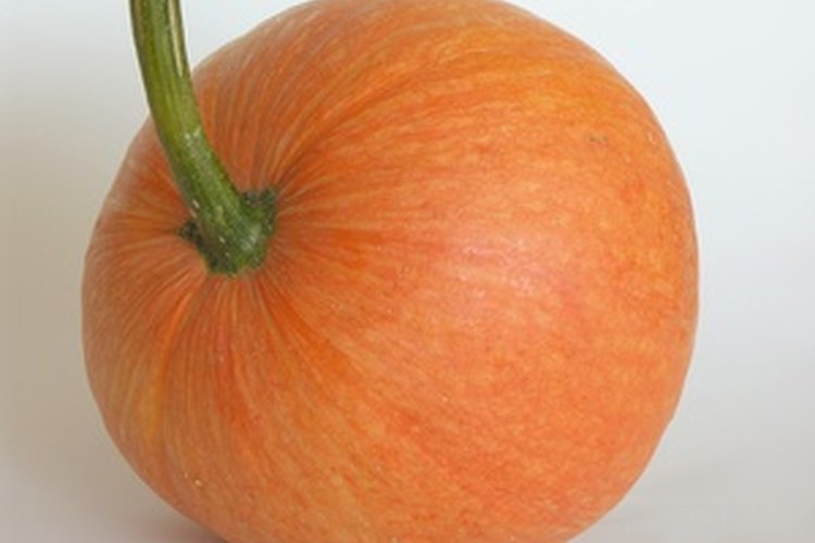 Las semillas de calabaza son generalmente robustas y bastante simples a la hora de crecer.