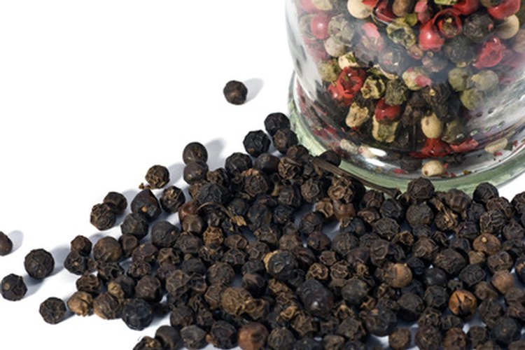 Variedad de pimientas secas para uso culinario.