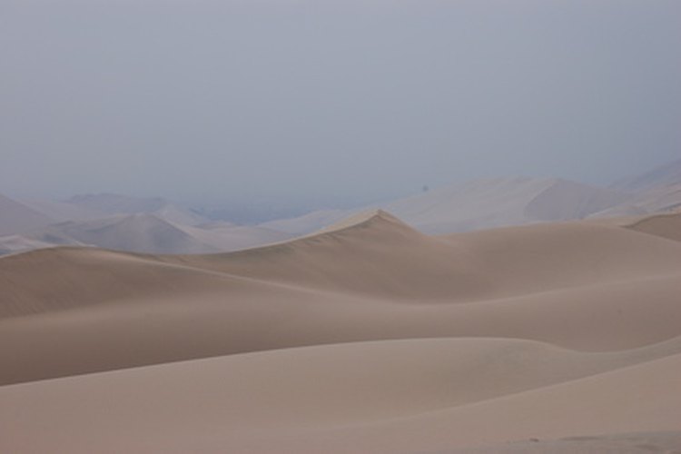 Los desiertos se caracterizan por su clima extremo.