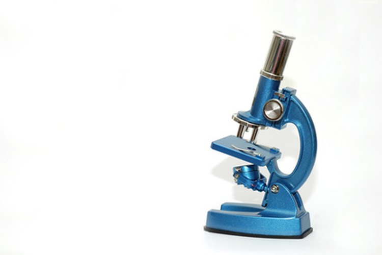 Microscopio de fluorescencia.