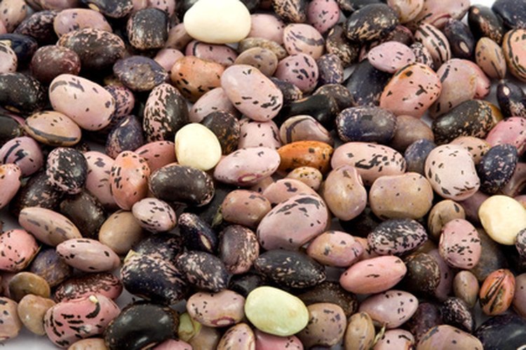 Los frijoles pueden ser molidos para crear una harina nutritiva para hornear.