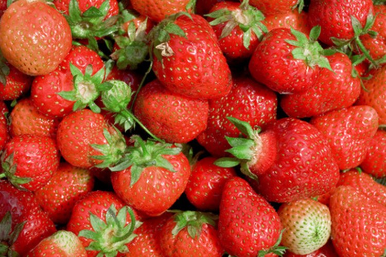 Fresas.
