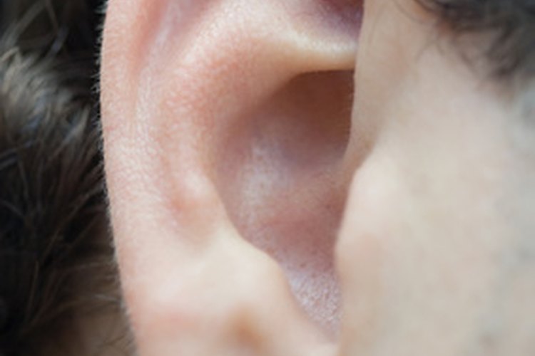 El lóbulo de la oreja ligado o no ligado es una característica heredada.