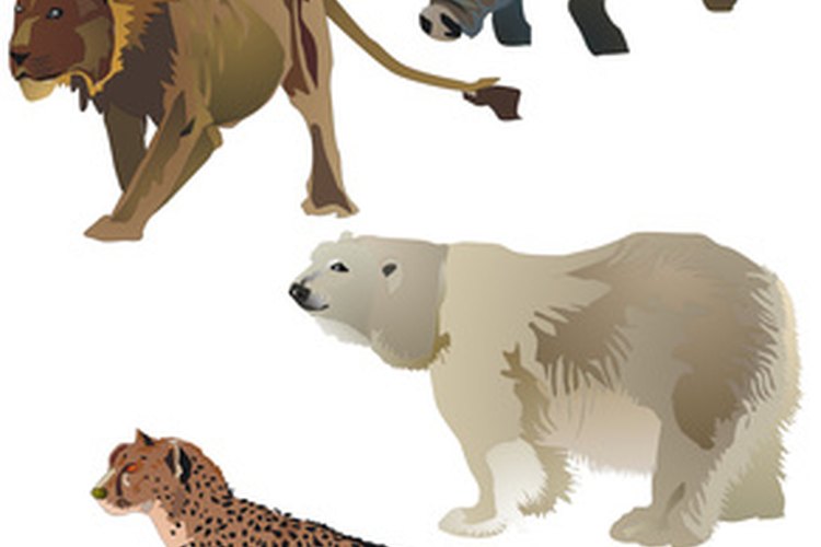 Miles de animales afrontan la extinción sin la intervención humana y mejor protección.