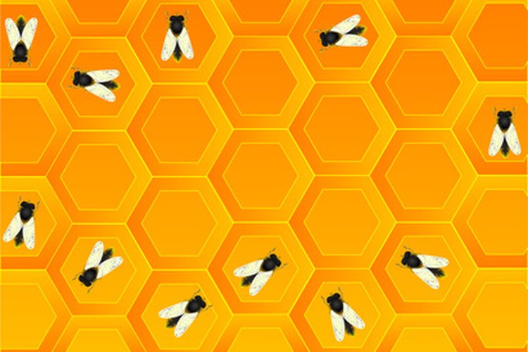Las abejas aprenden de otras a cómo polinizar las flores y a recoger la miel.