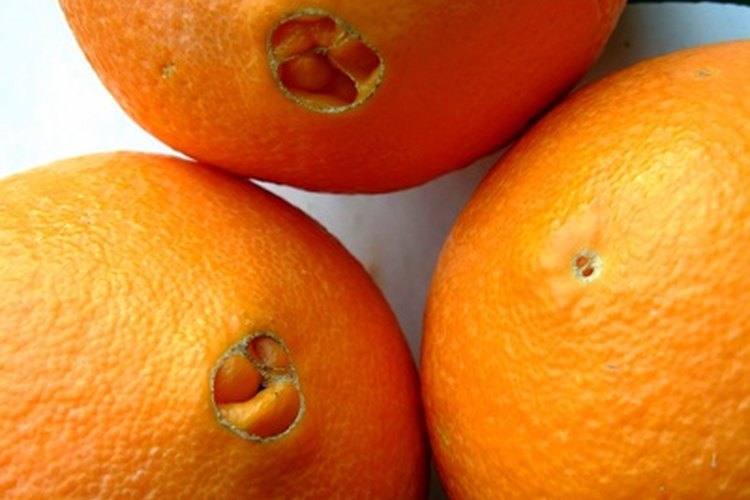 Las naranjas de ombligo no tienen semillas y sus flores no producen polen.