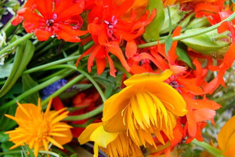 Una flor puede ser completa o incompleta.