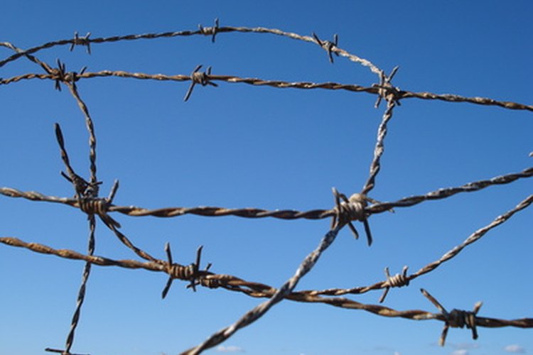 Prepárate para la difícil tarea de visitar a un prisionero.