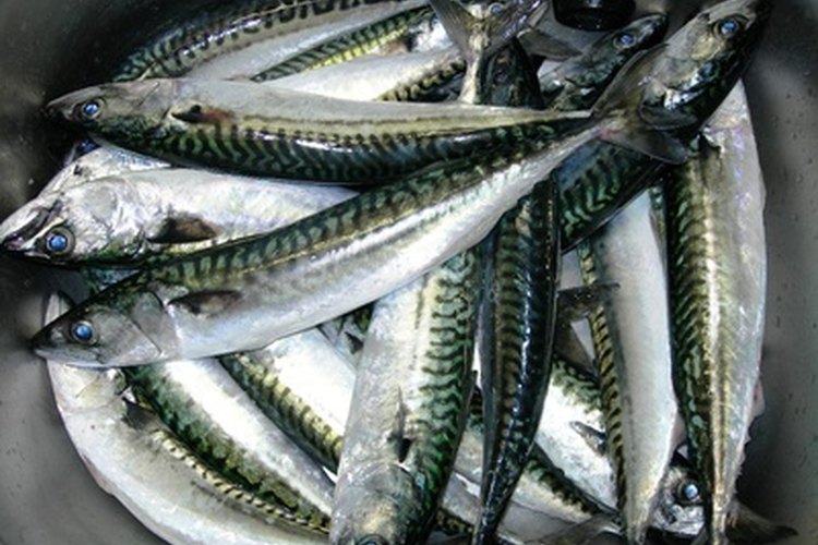 Los fertilizantes naturales provienen de materia orgánica como los subproductos del pescado.