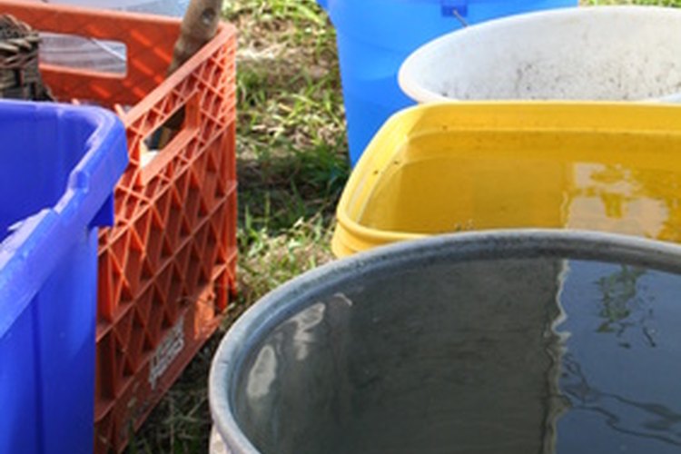 Los cubos plásticos son un elemento útil en el hogar siempre y cuando estén limpios.