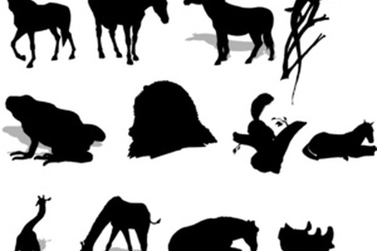 Haz que los niños combinen dos animales para crear una nueva especie y un nuevo nombre.