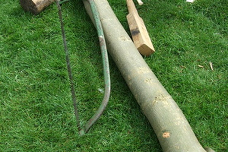 Durante siglos, las herramientas manuales han sido utilizadas para convertir la madera en muebles y arte.