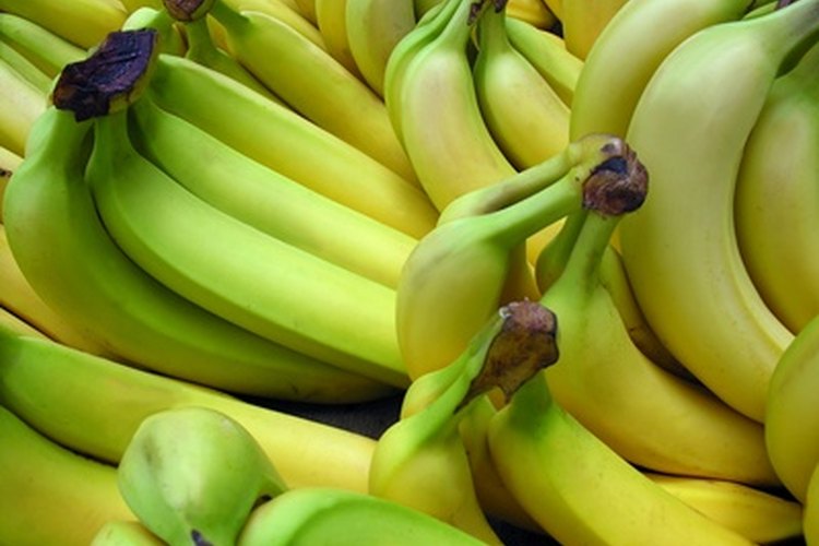 Bananas.