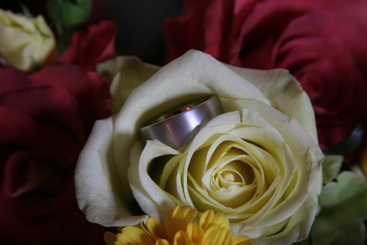 Anillo de carburo de tungsteno.