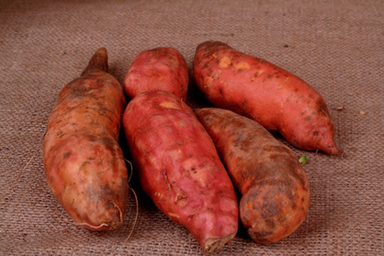 Batatas frescas.