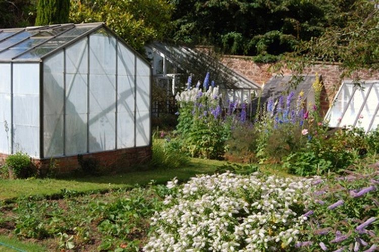 Invernaderos autonomos pueden construirse cerca de un jardín para fácil acceso.