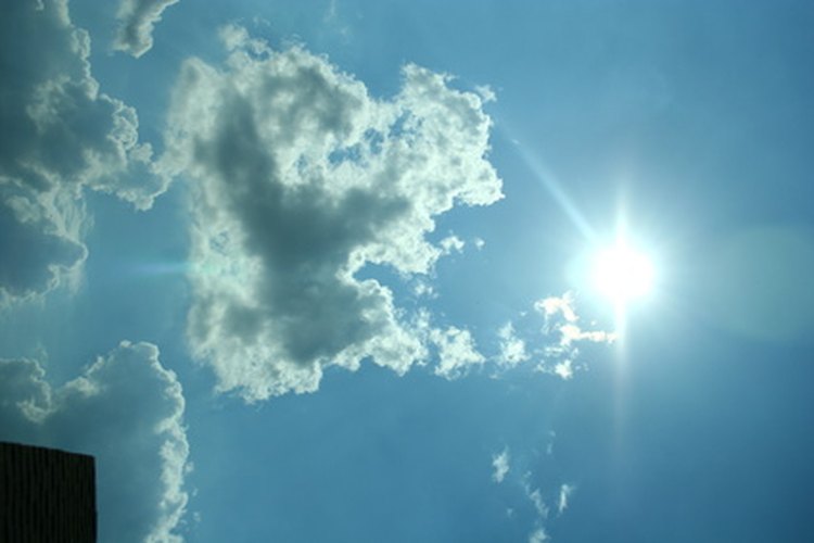 Debes tener presente ciertos cuidados al exponer tu planta de jade a la luz solar.