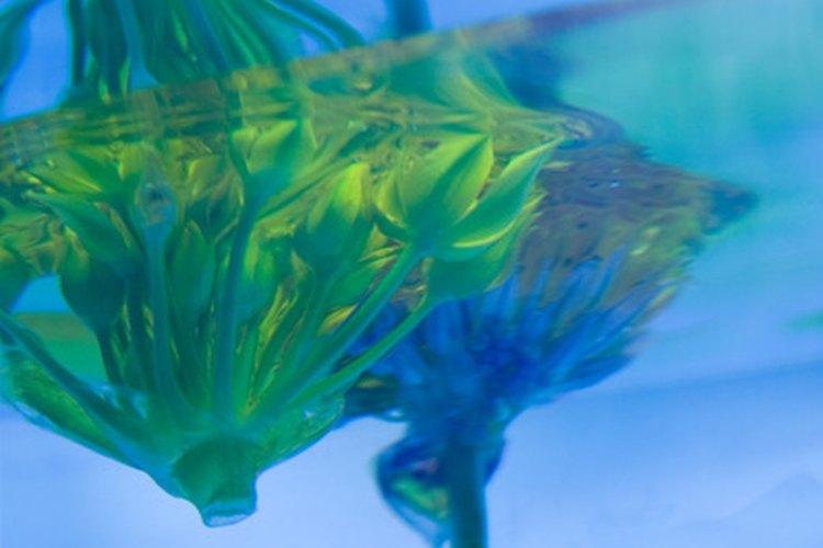 El agua y el aceite no se mezclan.