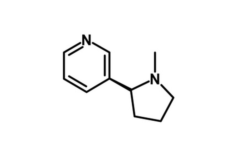 La nicotina es un alcaloide natural poderoso.