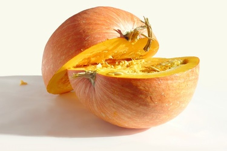 Deshazte naturalmente de los gusanos de tu perro con la calabaza.